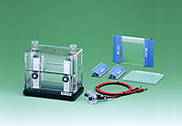 Electrophoresis AE-6500 dual mini slab with gel casting set